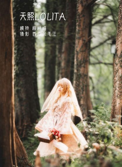 皓衣行 电视剧_BD视频大全